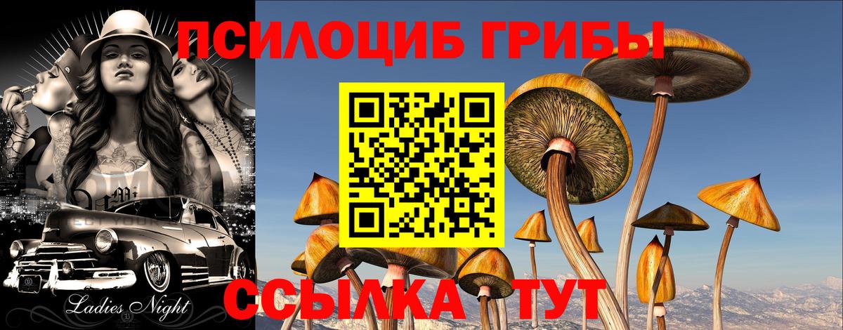 даркнет сайт  Псилоцибиновые грибы Magic Shrooms  Вход с VPN  Галлюциногенные грибы Psilocybine cubensis  Красноярск 