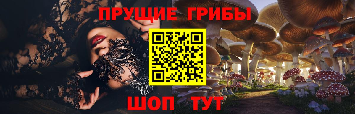 Псилоцибиновые грибы прущие грибы Красноярск