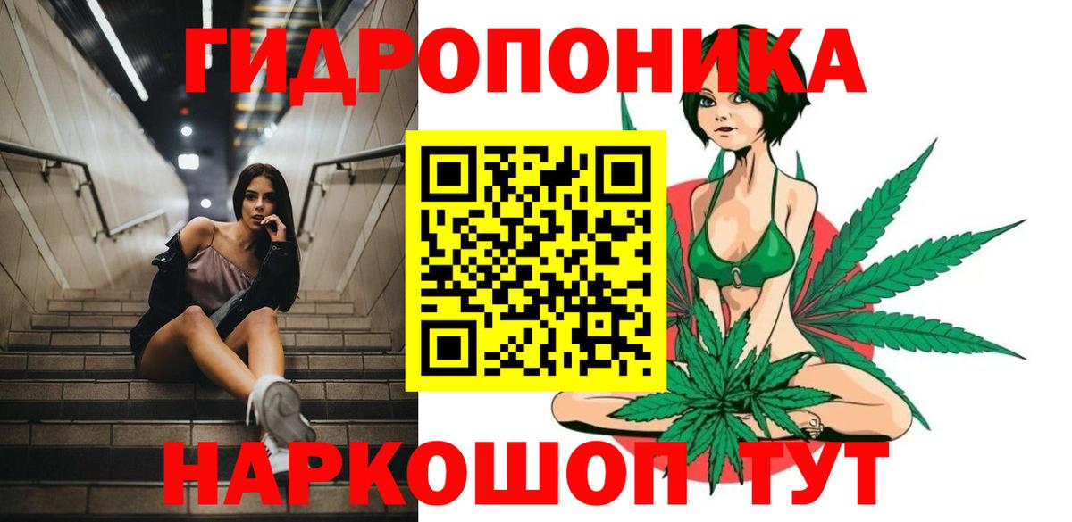 Бошки Шишки конопля Красноярск